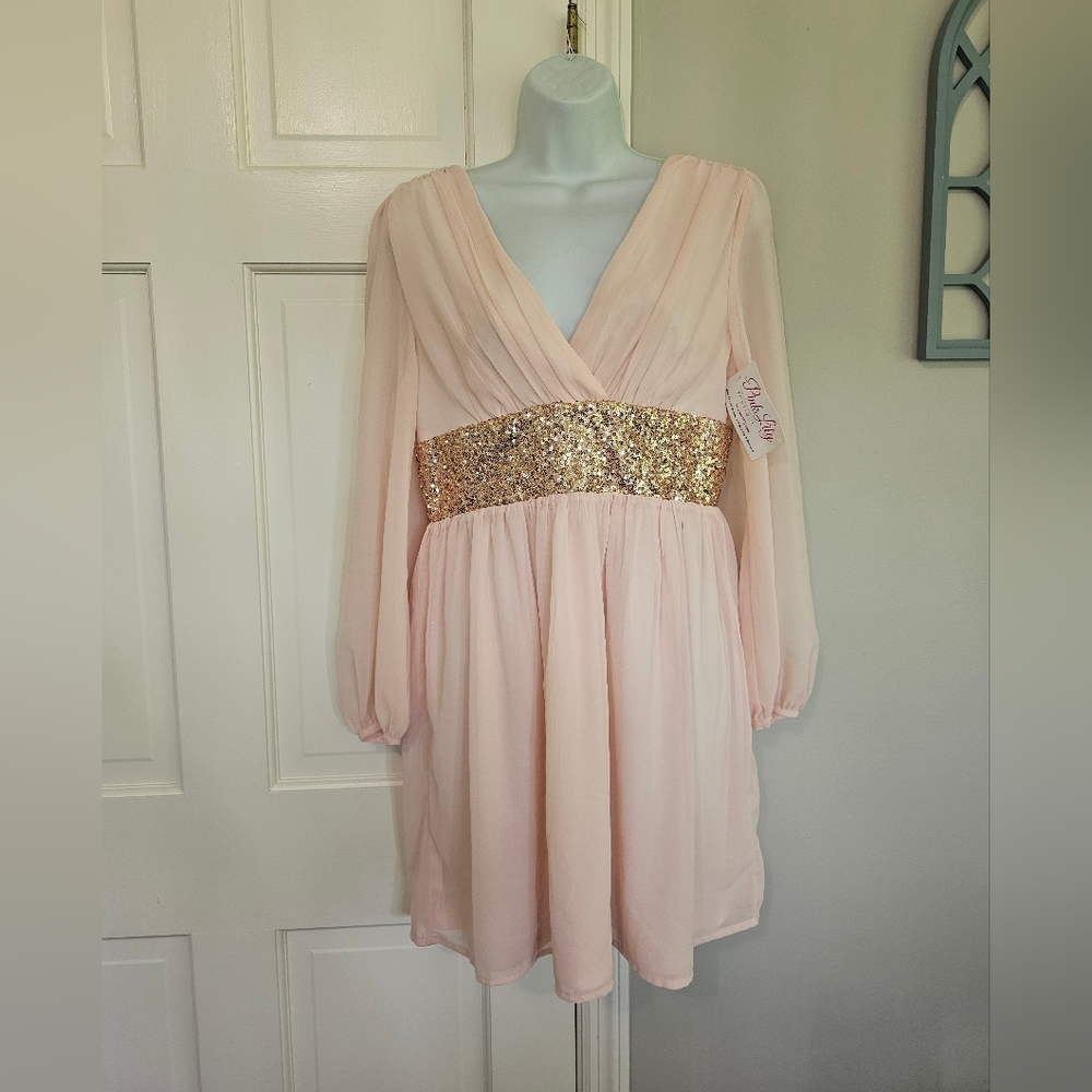 Elegant Pink Long Sleeve Dress with Gold Accents